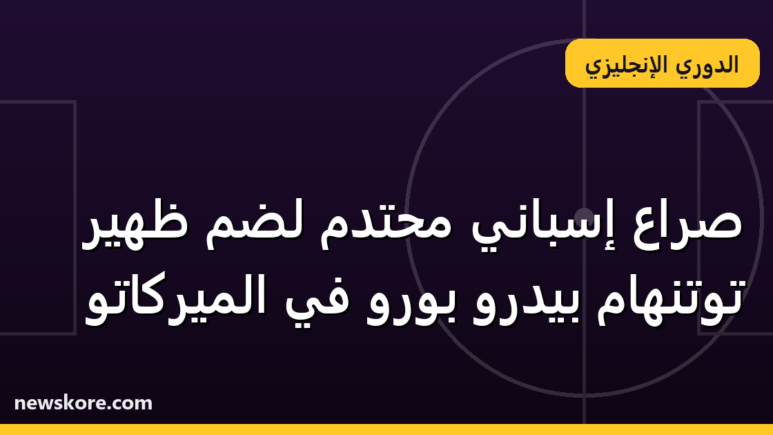صراع إسباني محتدم لضم ظهير توتنهام بيدرو بورو في الميركاتو